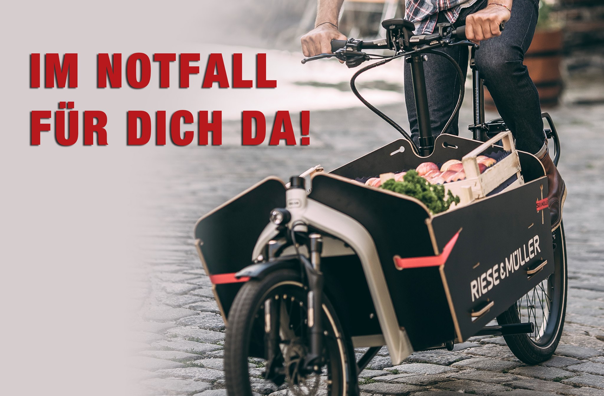 manuplast einmal handschuhe groß hell B. Braun gro? wei? 100 St Gewerbe, Industrie & Wissenschaft Gravel Ultegra BROTHER CYCLES Pinecone Rahmen-Set Größe:54cm(175cm-180cm)