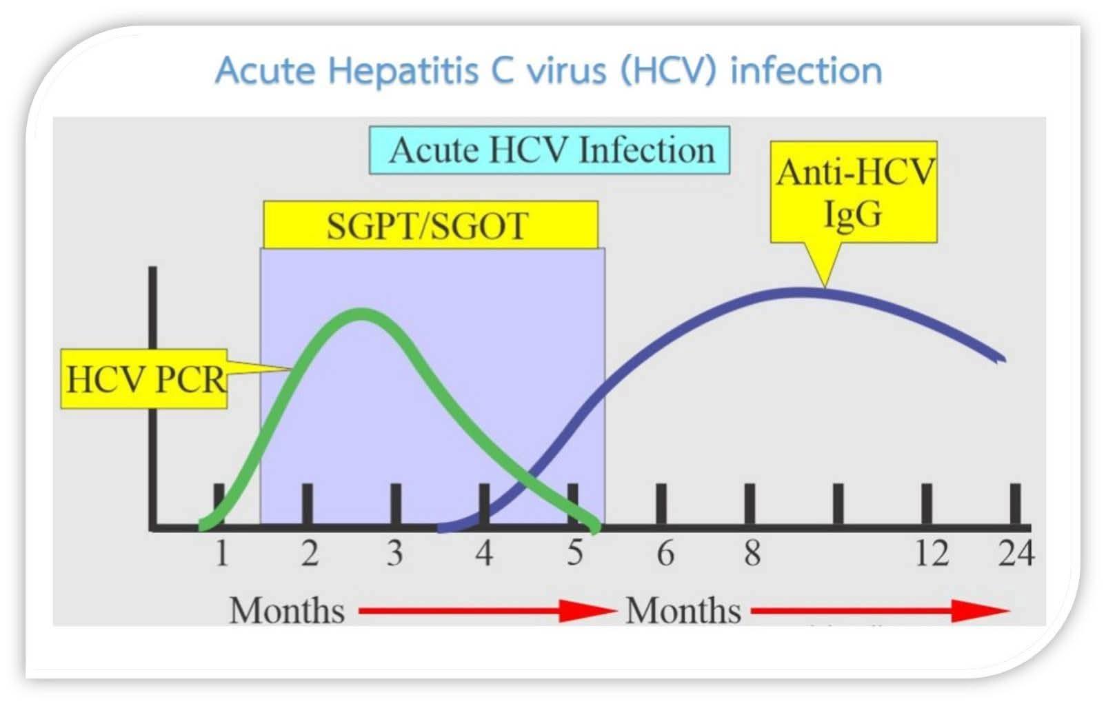 hepatitis c viral rna genotype lipa r Generation of virusresistant liver cells by genome editingmediated stable expression of aptamer: Molecular Therapy Methods & Clinical Development Molecular Epidemiology of Hepatitis C