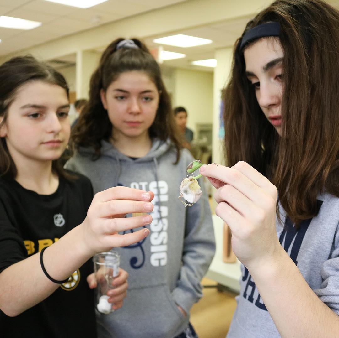 At the upper and... - Our Lady of Mercy Preparatory Academy | Facebook