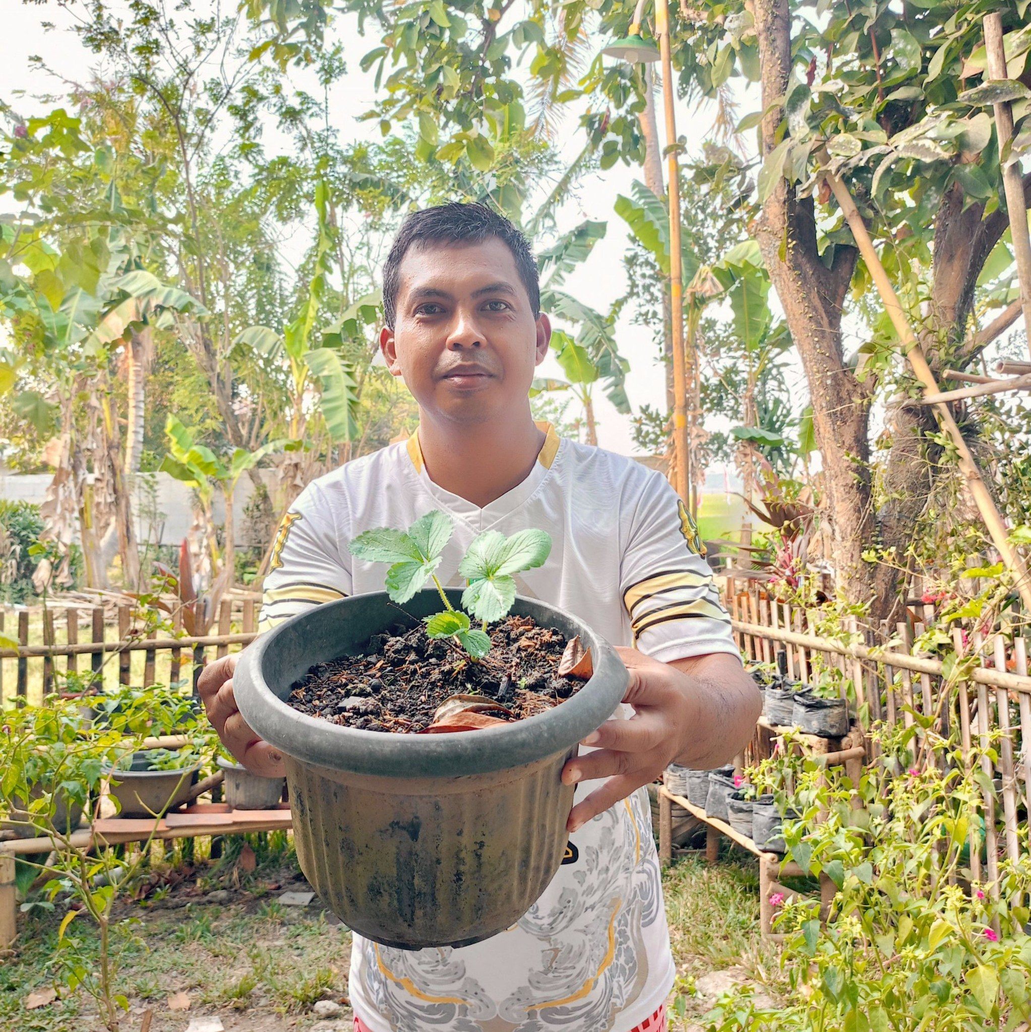 To set up a drip irrigation system for plants using a buried plastic ...