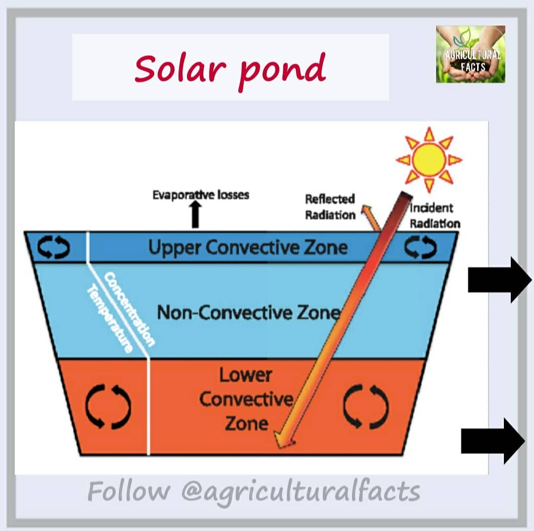 SOLAR POND Principle : The solar... - Agricultural facts | Facebook