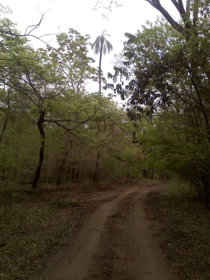 Santa Rosa de Formosa | Formosa GO
