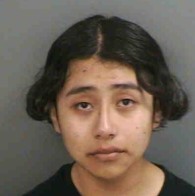 Multiple possession of... - Collier County Sheriff's Office | Facebook
