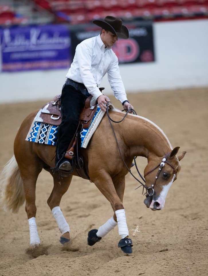 Amanda Brumley’s XTRA... - Muehlstaetter Performance Horses | Facebook