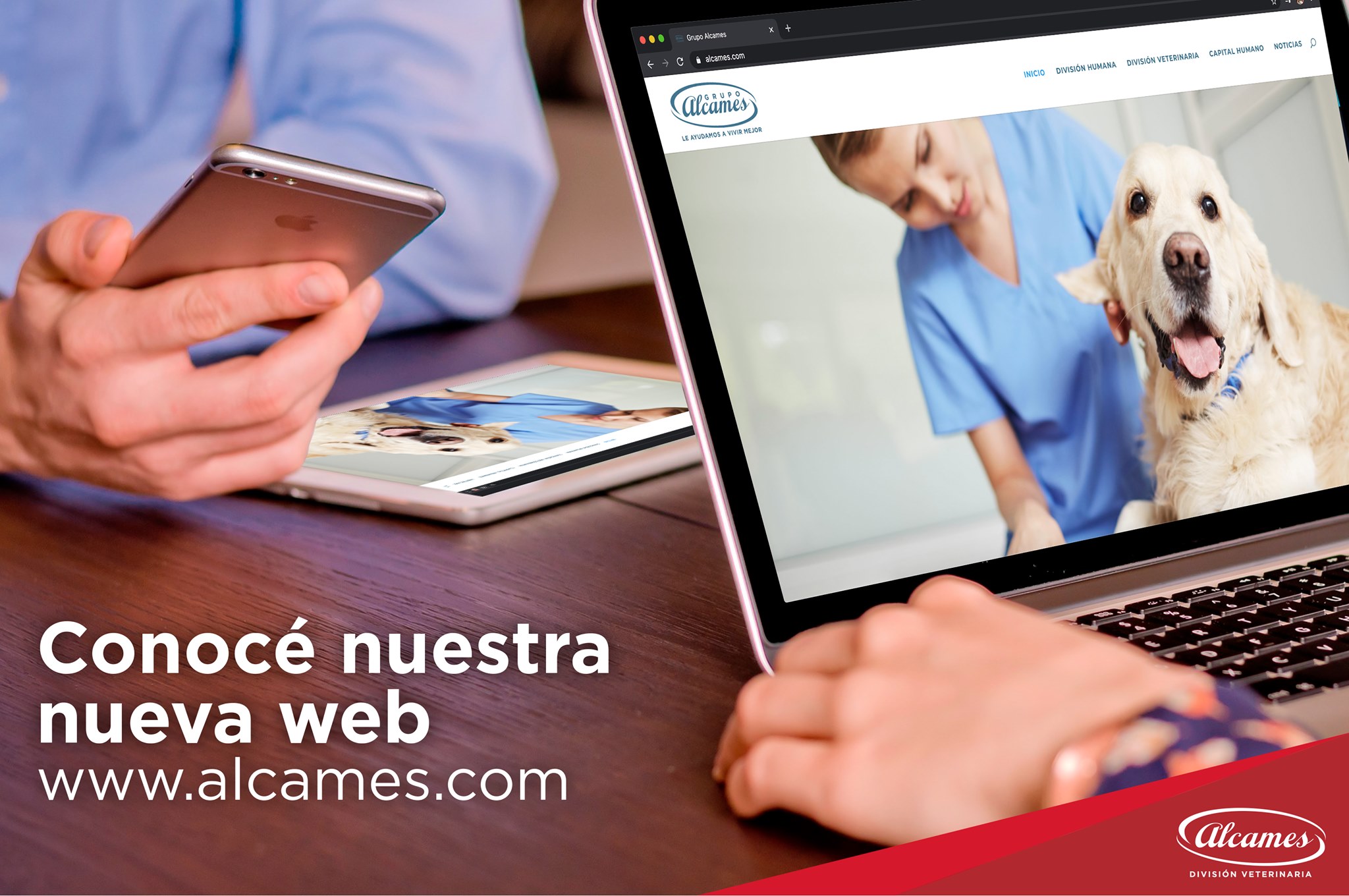 Nos complacemos en darles a... - Alcames División Veterinaria | Facebook