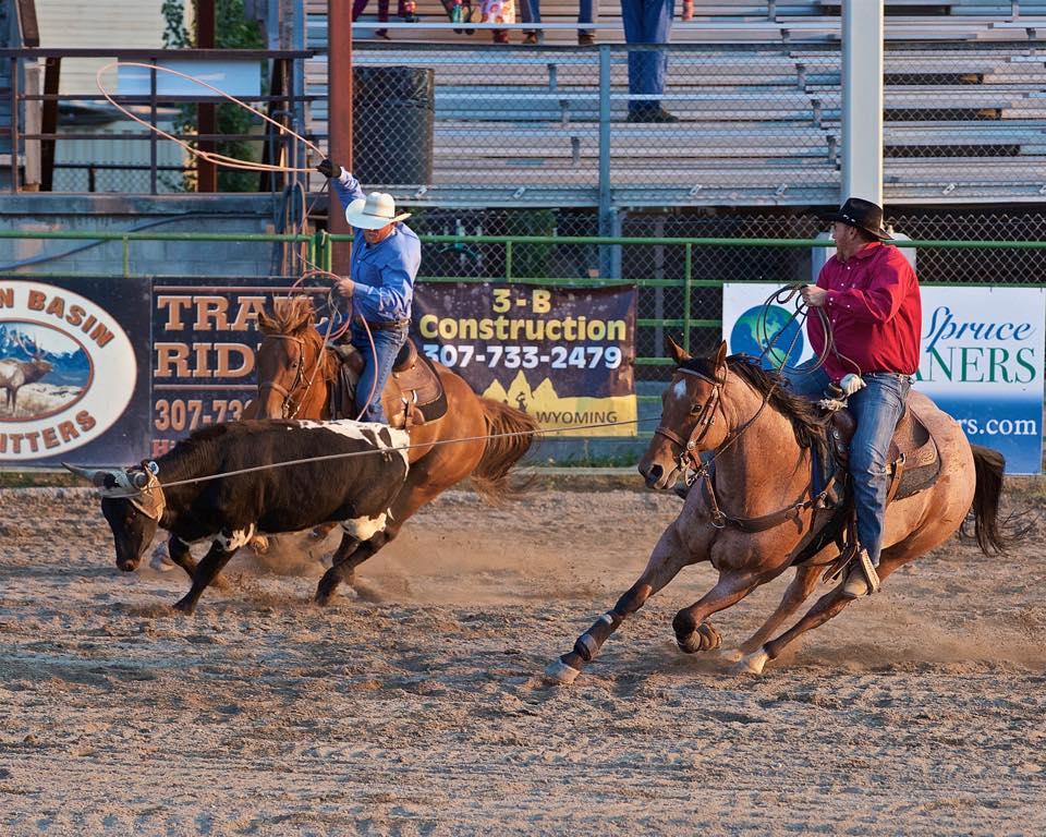 Diamond J Horses | Provo UT