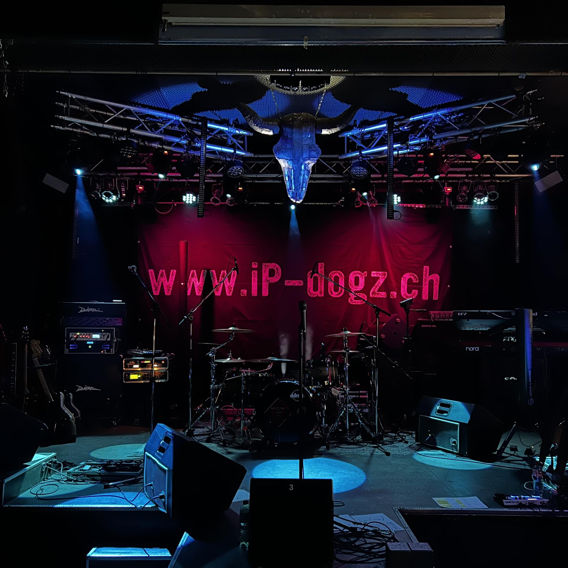IP-dogz - Cover Rock Band