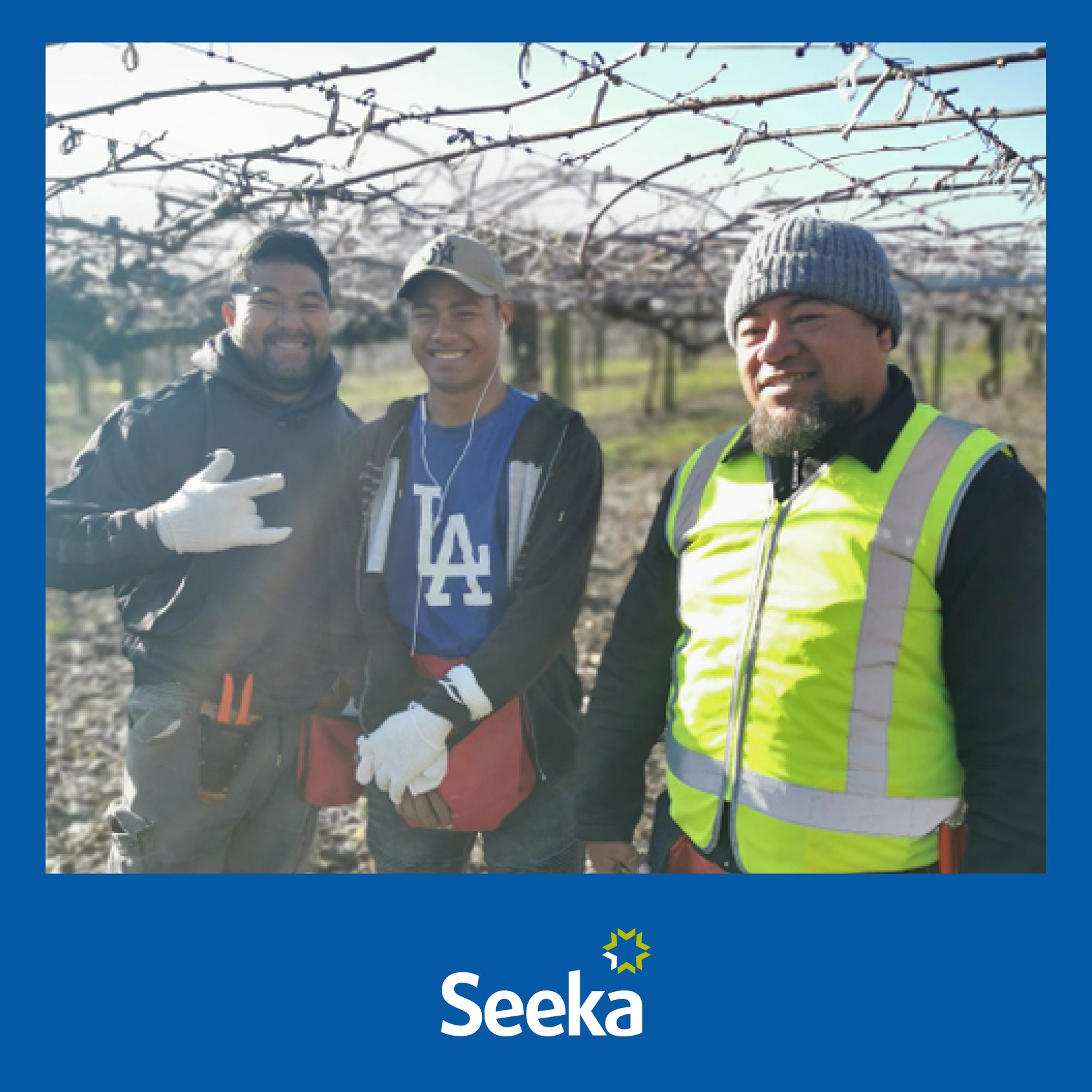 Seeka - The teams are working hard getting orchards in top...
