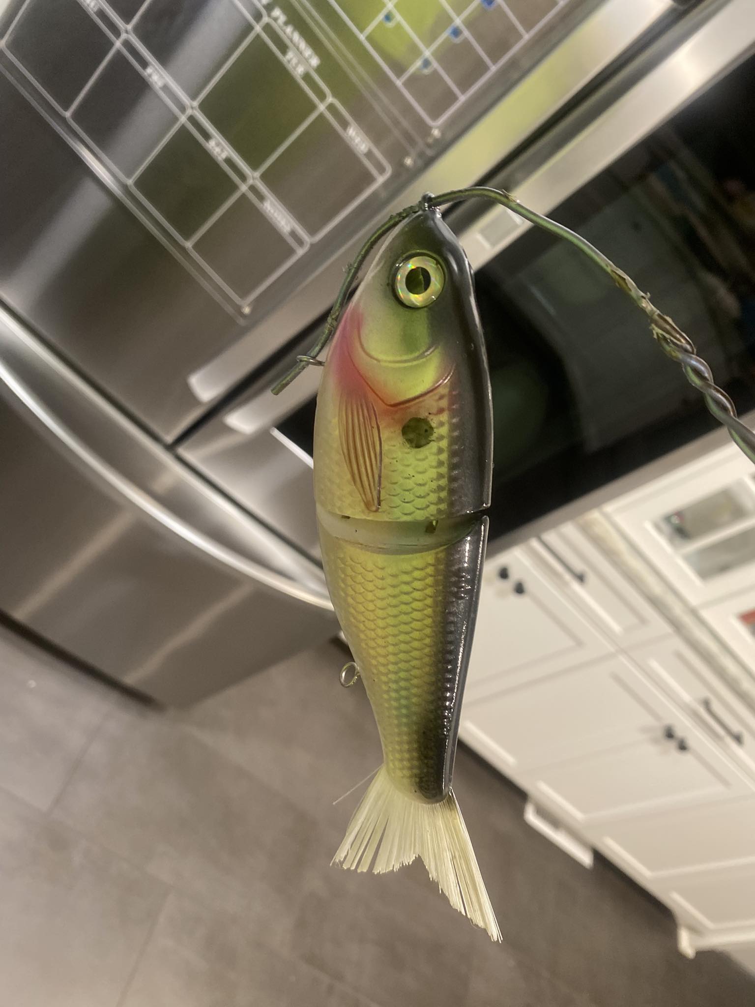 do fishing lures rot asp spoons Louisiana Sportsman