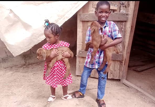 Threshold Farm and Ranch | Ilorin