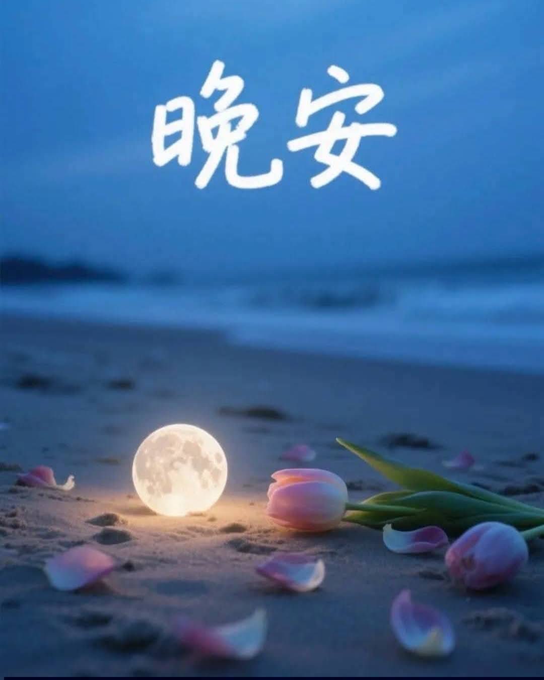 嗨～你好！早安 午安 晚安美圖分享 | Facebook