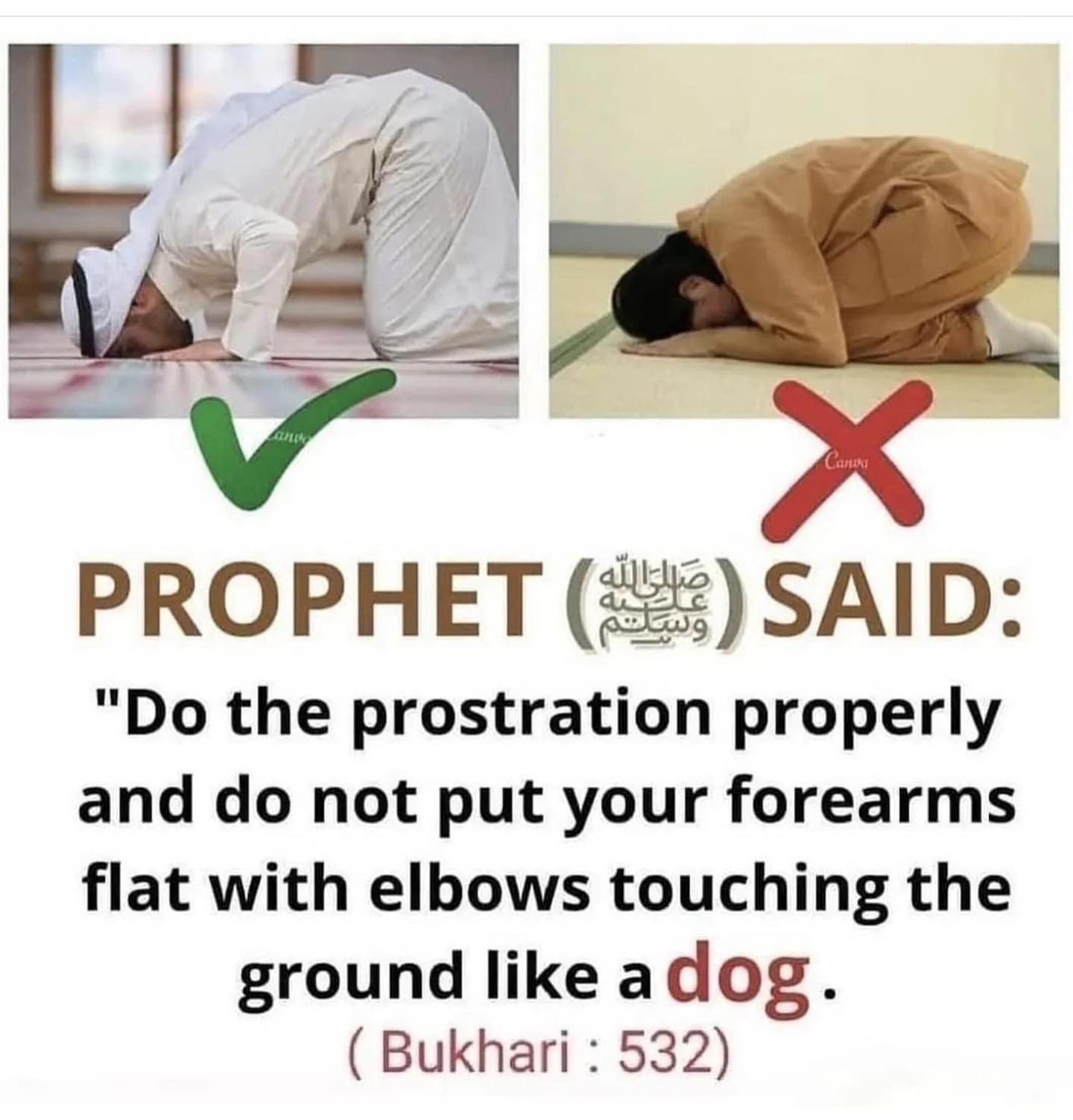 PROPHET Muhammad ﷺ SAID: 