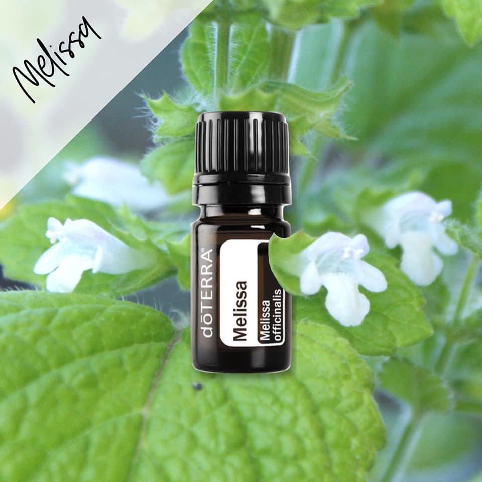 Get 10% off Melissa Essential Oil! This rare gem from the Melissa