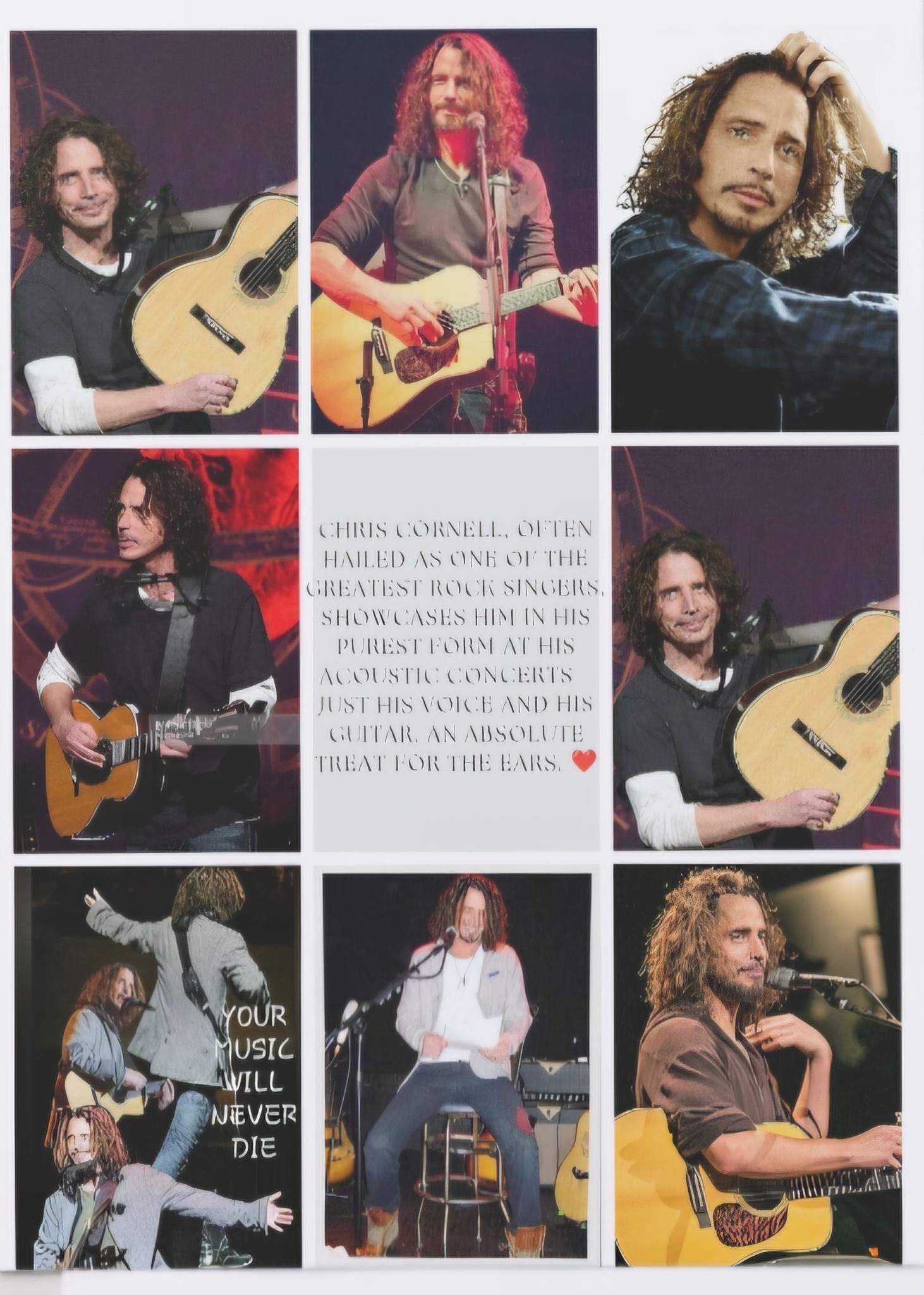 Which Chris Cornell Higher Truth tour show did you attend?