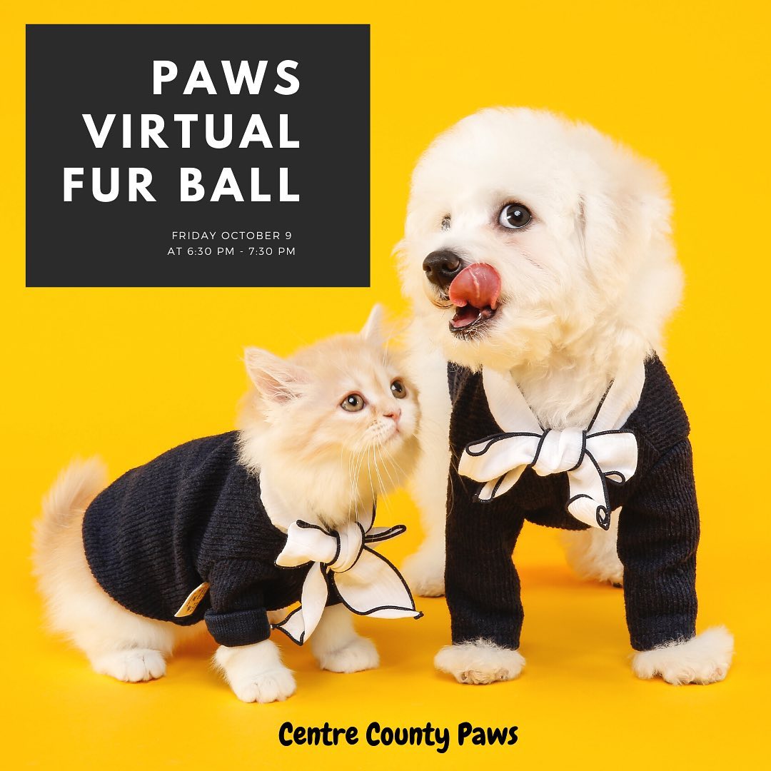 Centre County PAWS is bringing all... - Blue Course Commons | Facebook