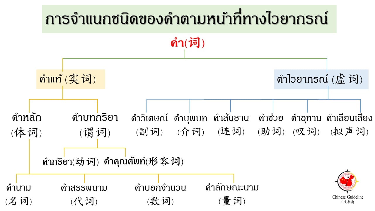 这里所说的词类 ，是根据词的语法功能作为分类标准。 - Chinese Guideline 中文指南