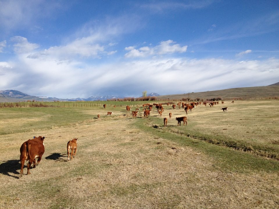 Allen Ranch Home Place - permanently... - Colorado Open Lands | Facebook