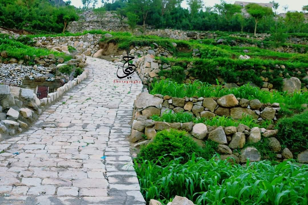 أبناء جبل حبشي يسطرون المجد ويكتبون تاريخ صنعهم بالحجارة لا بالمداد أبناء جبل حبشي شريان مدينة تعز منذ اندلاع الحرب ففي الوقت العصيب التي ضاقت على المدينة المداخل والمخارج فتح أبناء جبل حبشي