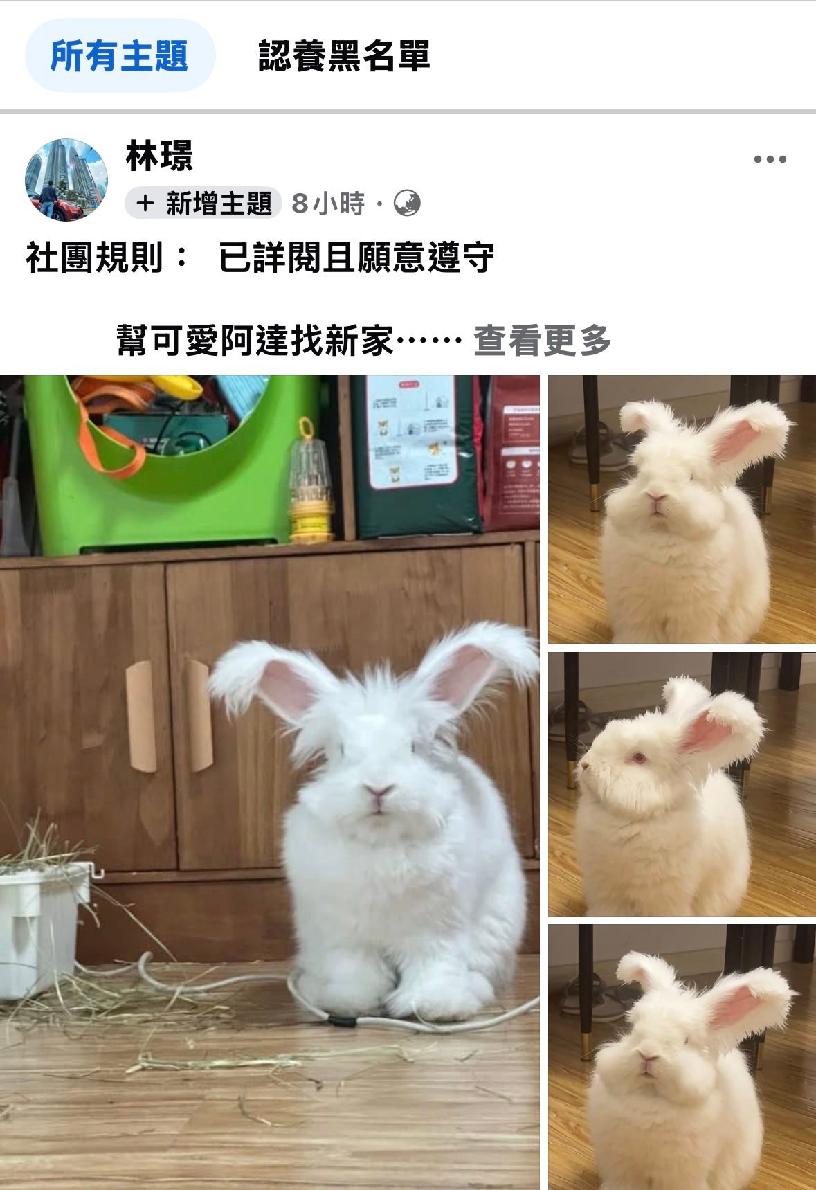 海綾月兔兔認養專區 - 「公告」詐騙送養！！！ 感謝兔友發現兔子照片的原始來源 確認是從中國社交平台盜圖再發佈送養... | Facebook