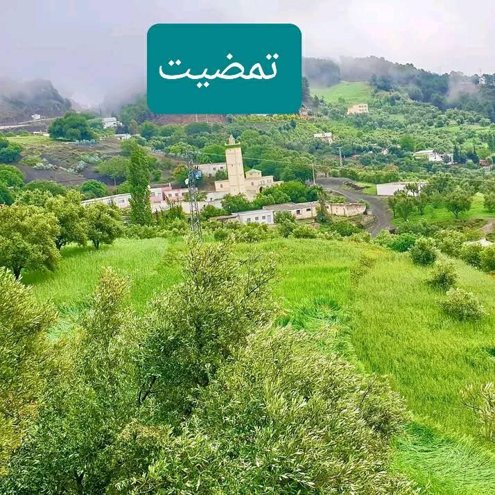 تمضيت مرنيسة جبال الريف | Facebook