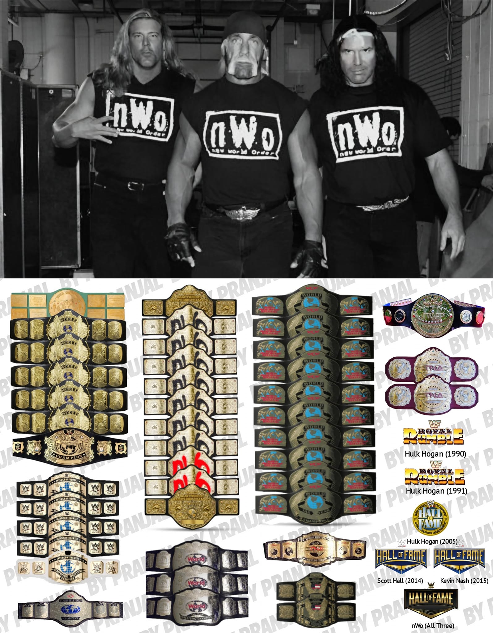 nWo members, when they were still in the WWF