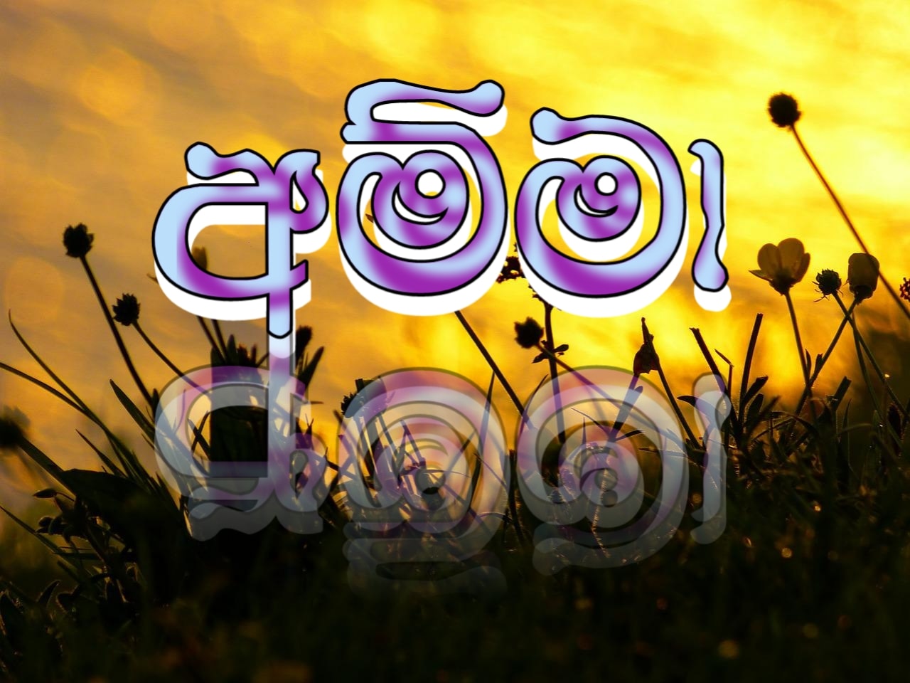 Piththa - පිත්තා