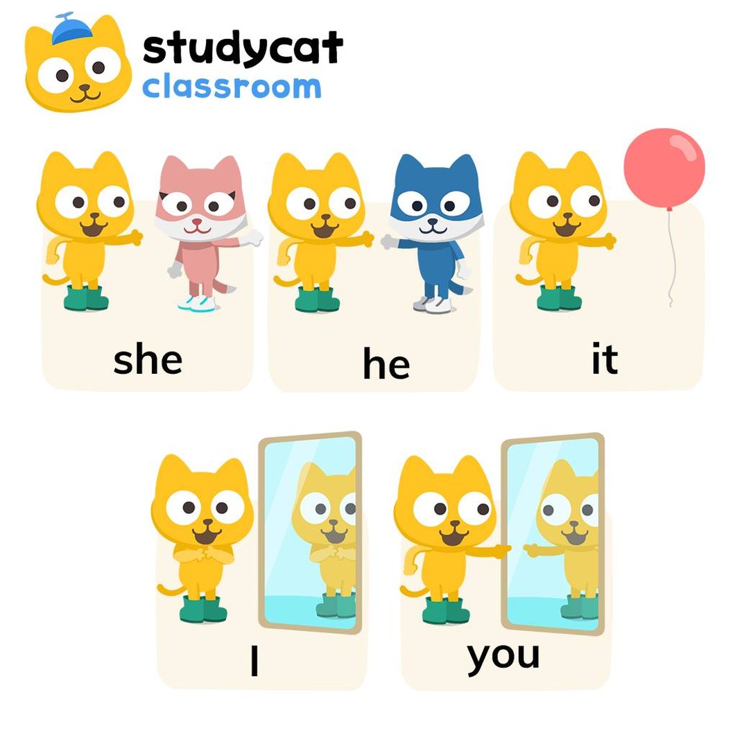 Studycat - 𝕃𝕖𝕥'𝕤 𝕔𝕠𝕟𝕥𝕚𝕟𝕦𝕖 𝕡𝕣𝕒𝕔𝕥𝕚𝕔𝕚𝕟𝕘 𝕡𝕣𝕠𝕟𝕠𝕦𝕟𝕤. 𝕋𝕙𝕚𝕤 𝕥𝕚𝕞𝕖, 𝕝𝕖𝕥'𝕤 𝕗𝕠𝕔𝕦𝕤 ...