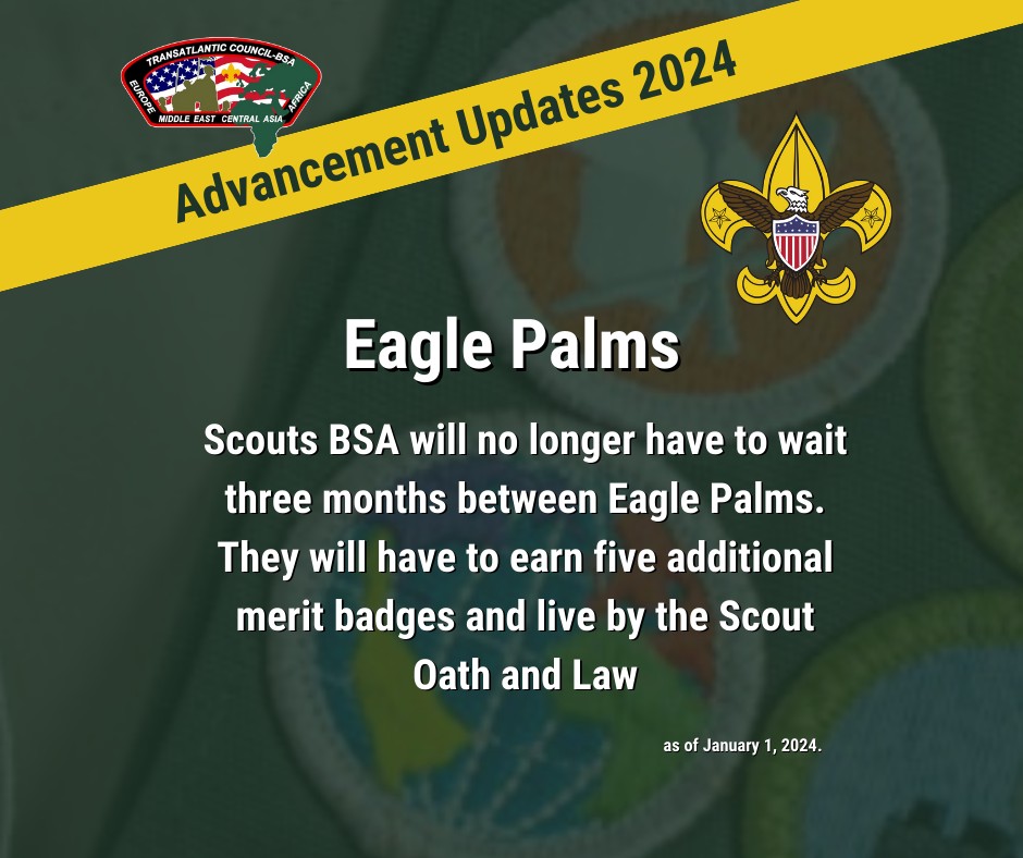 Transatlantic - Changes have been made to rank and merit badge ...