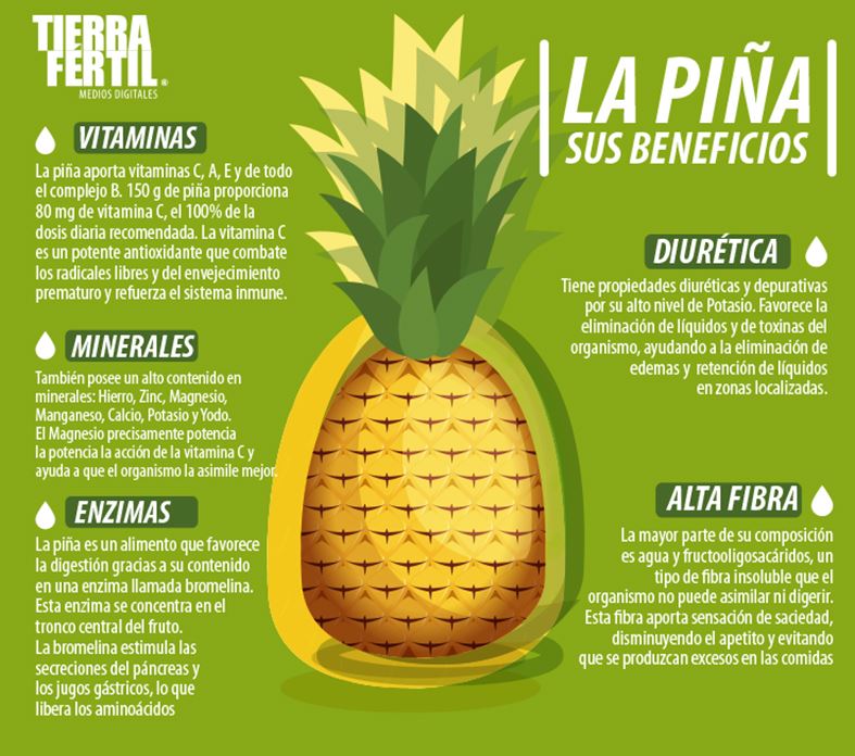 Tierra Fértil - La piña tropical, ananás o piña americana... | Facebook