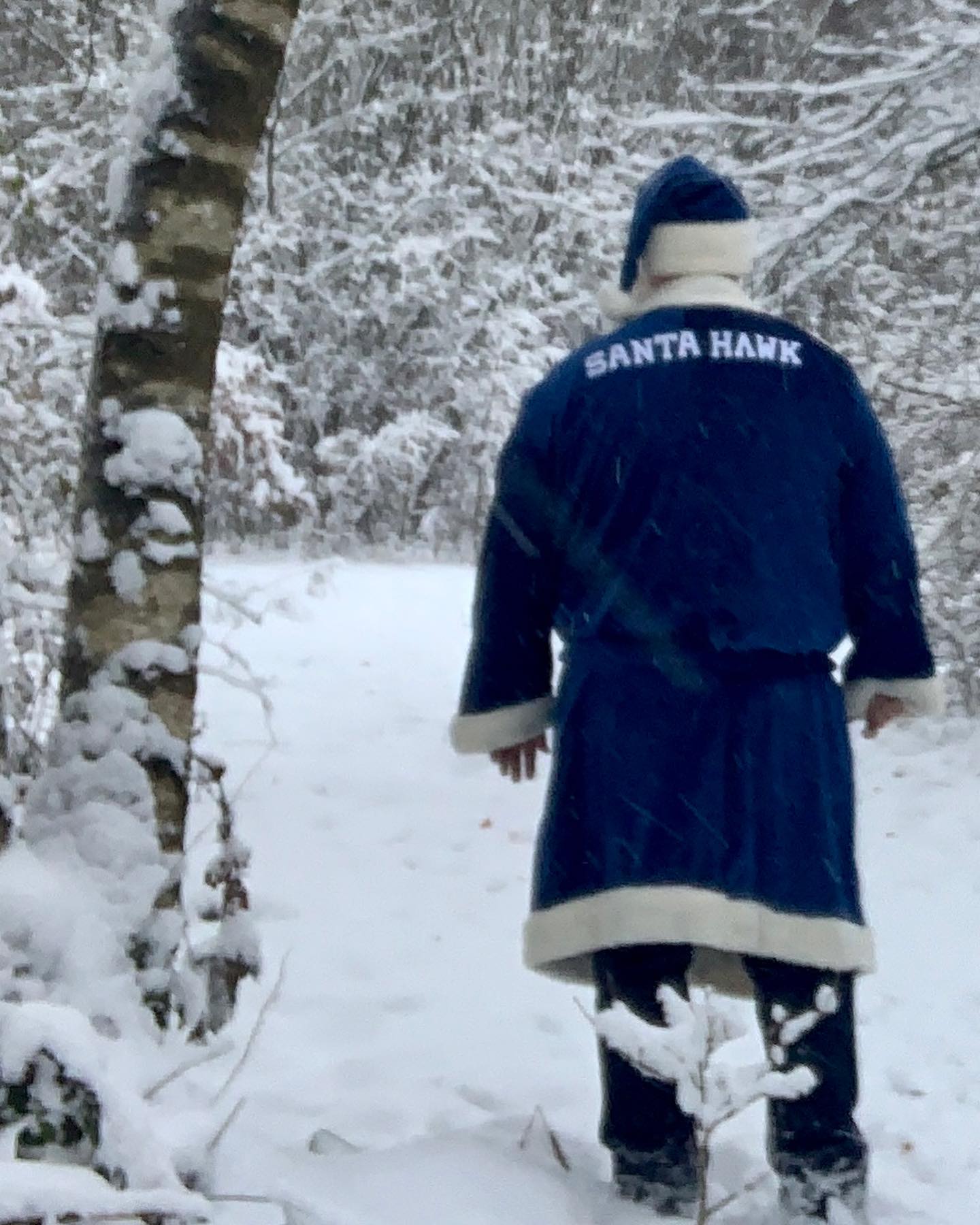 Santa Hawk