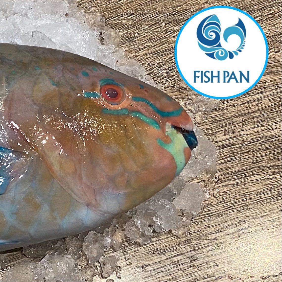 Fish Pan restaurant | Riyadh