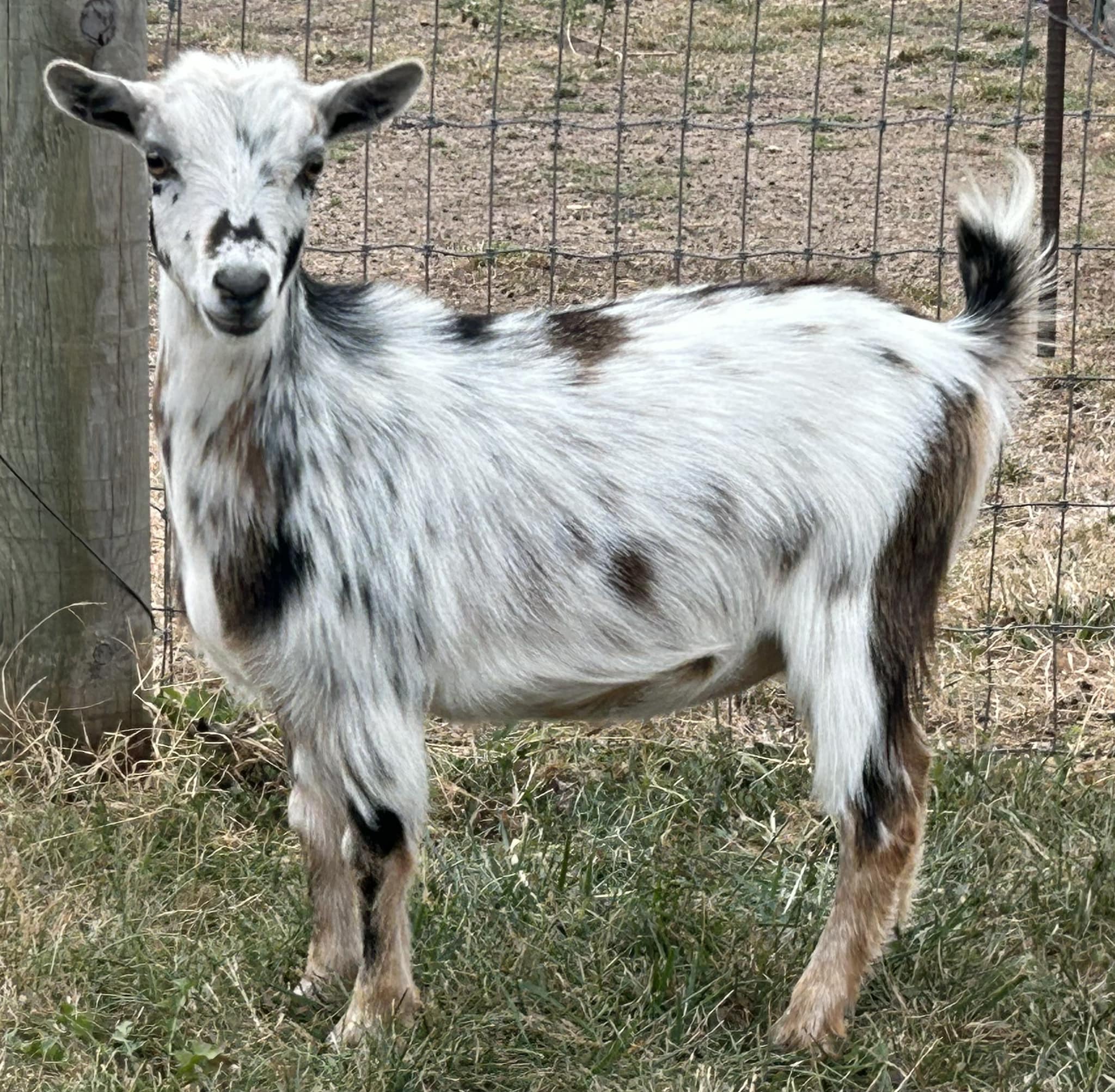 Triple R Family Farm