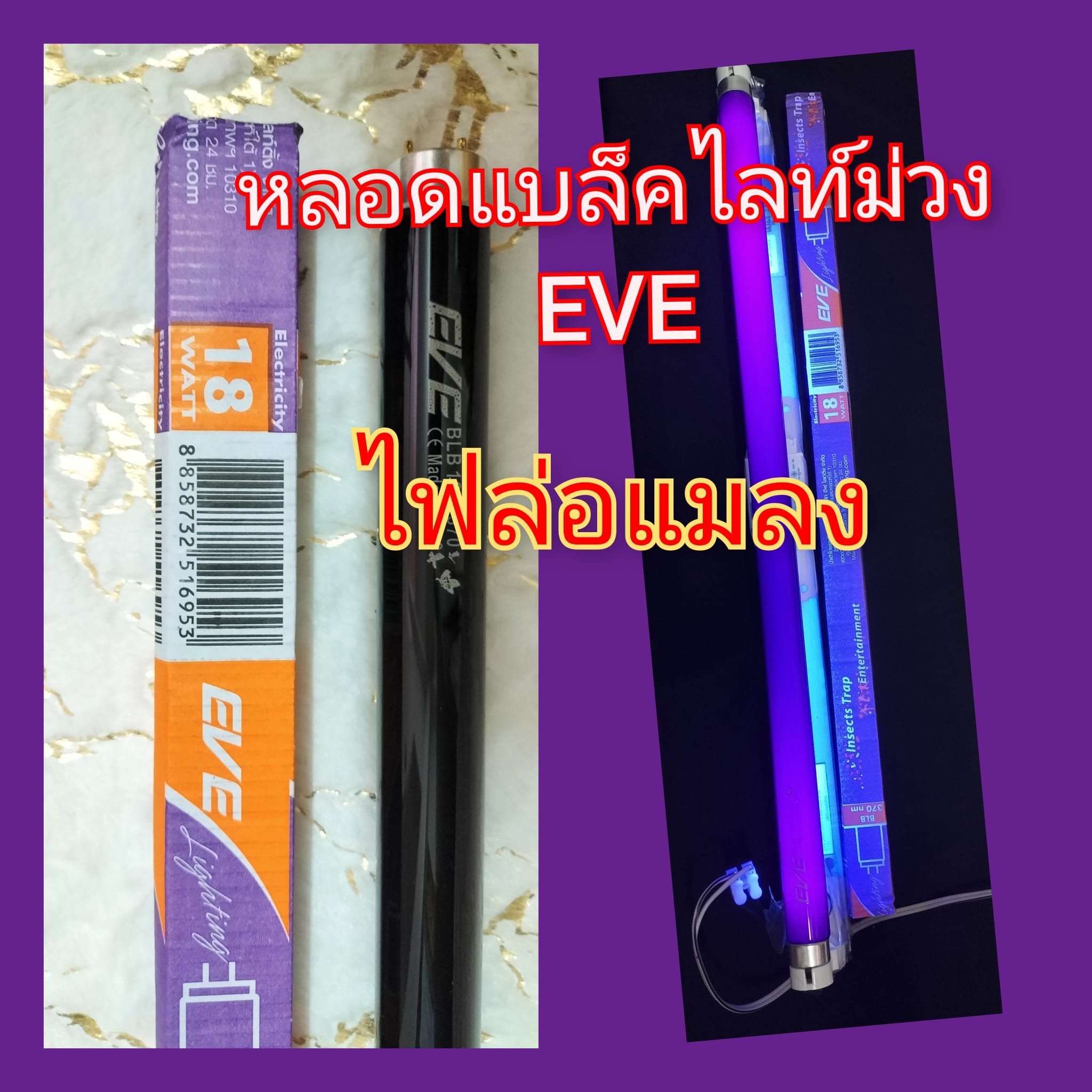 EVE หลอดไฟล่อแมลง หลอด Black Light... - RASA เครื่องใช้ไฟฟ้า