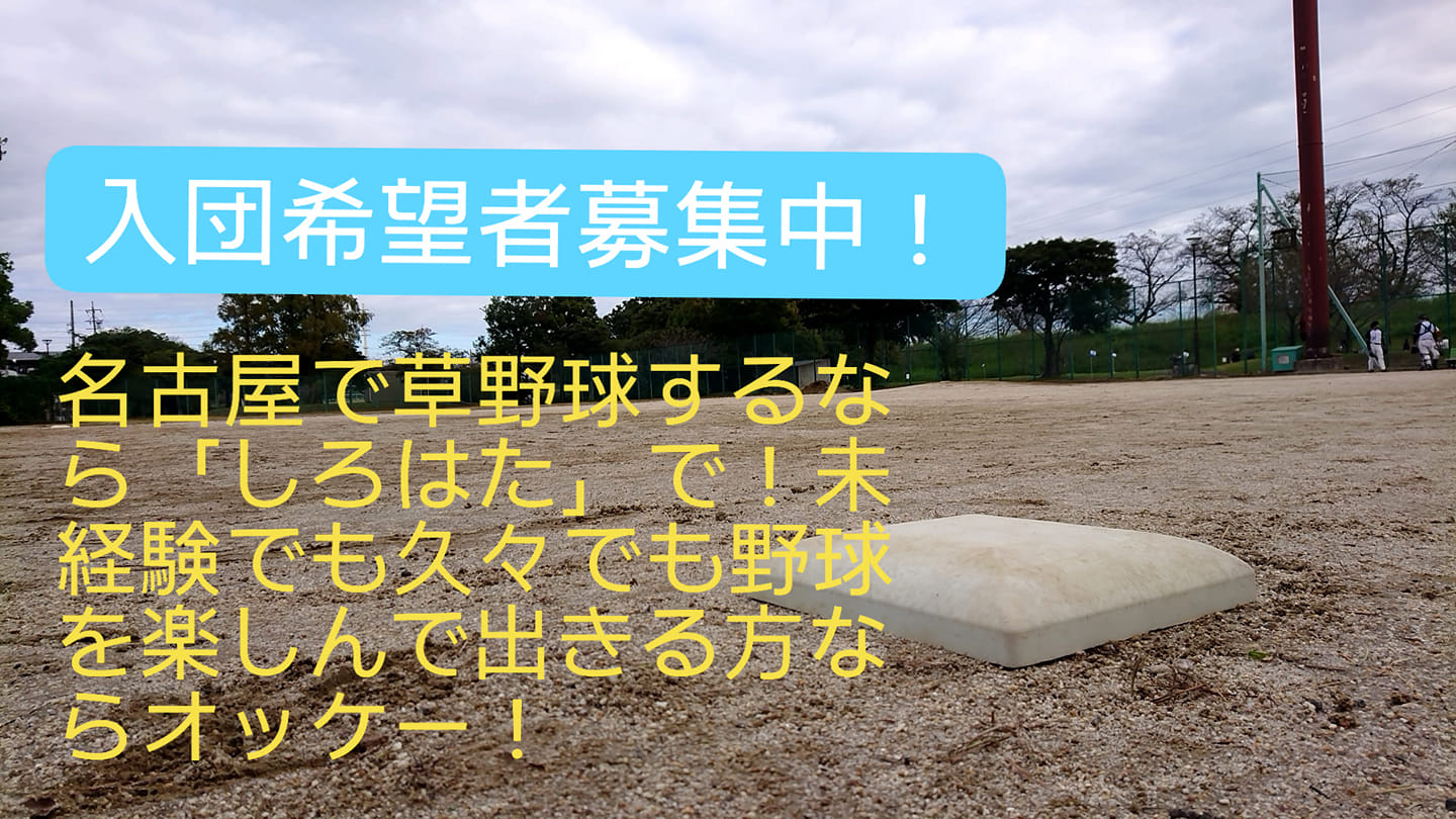 しろはた