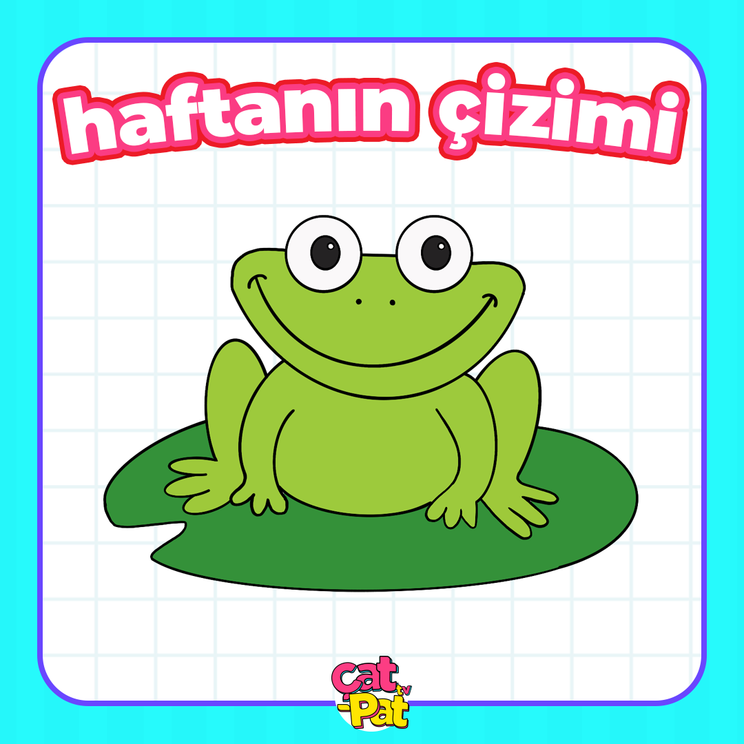 ÇatPat Tv - Kurbağa bana vak dedi :) Hadi onu çizelim,...