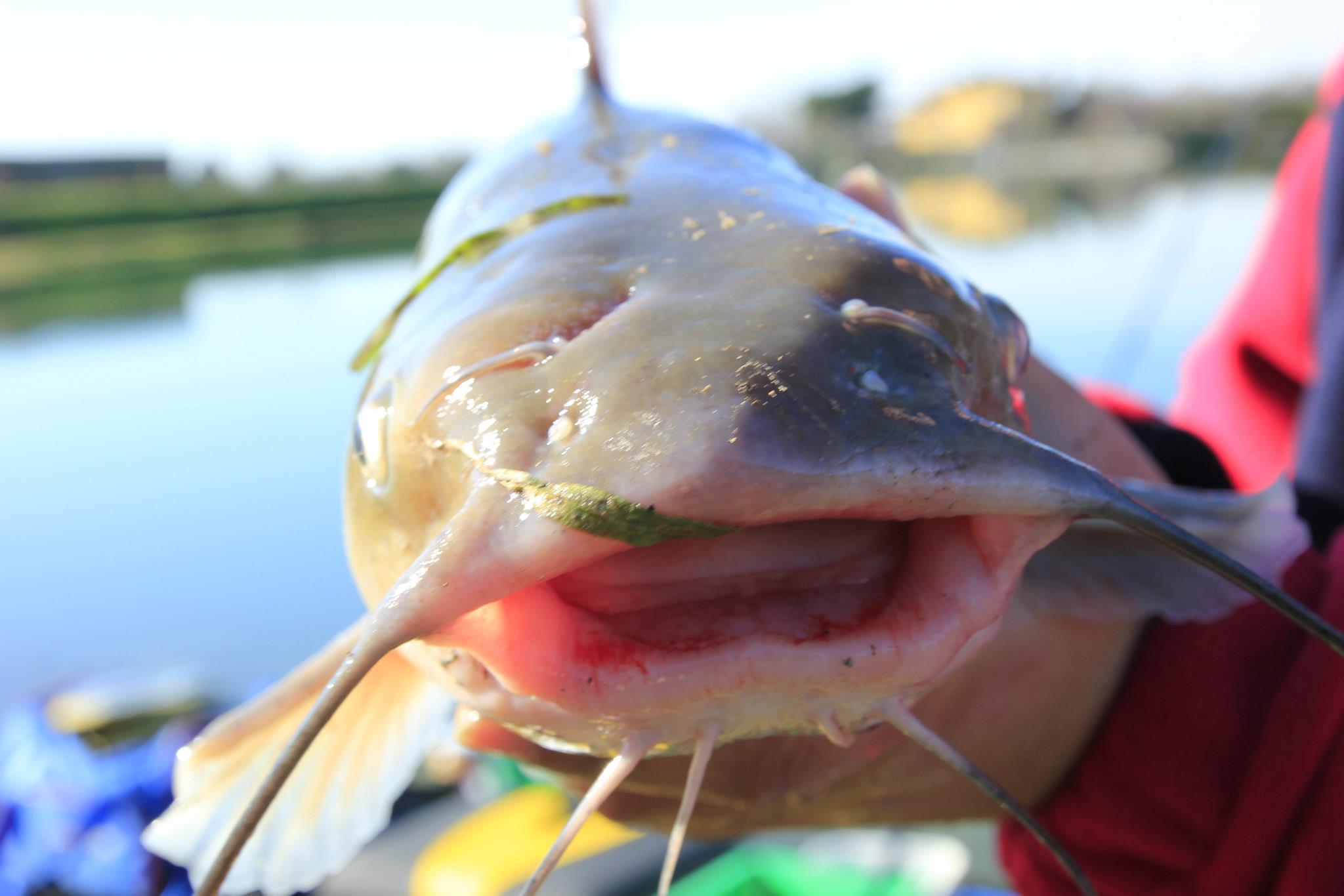 Fishing Club Laghi Mella | Poncarale