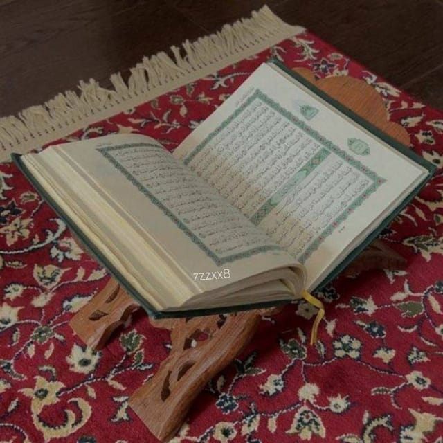 تلجMashwi