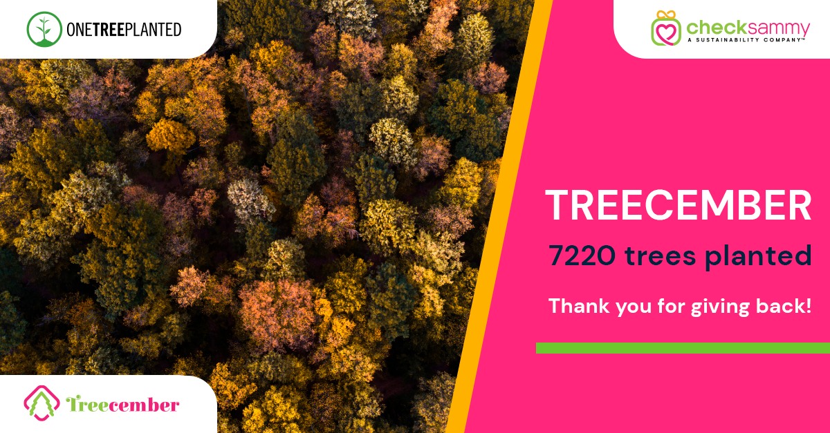 CheckSammy - The CheckSammy Treecember Campaign sprouted even more ...