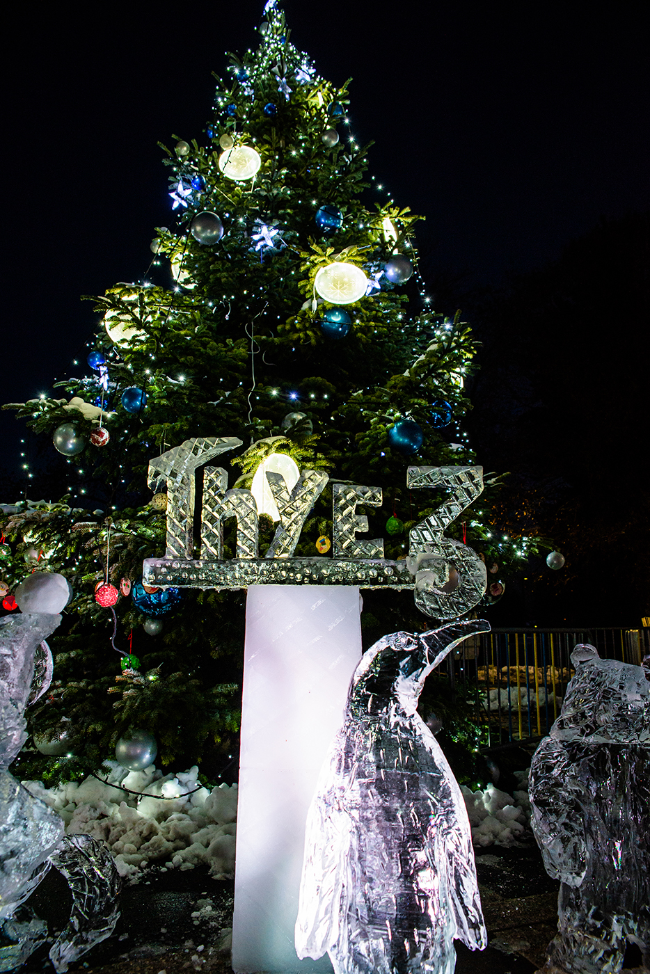 Marche De Noel La Roche Sur Foron