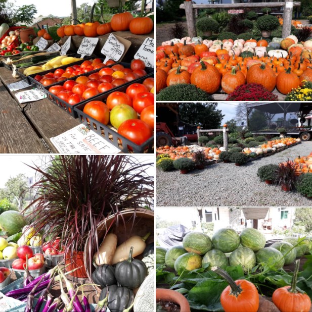 5 Rider's Farm - 5 Rider's Farm Stand is OPEN at 3849... | Facebook