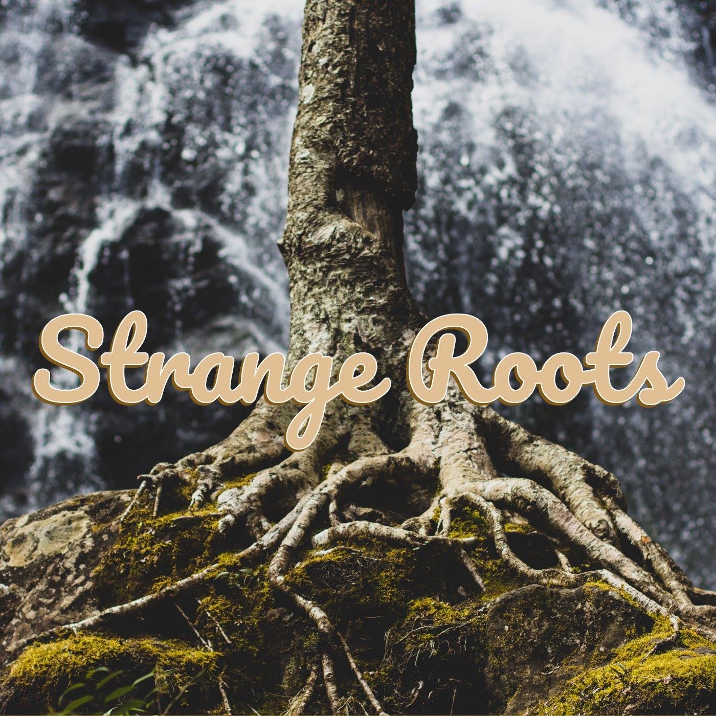 Strange Roots