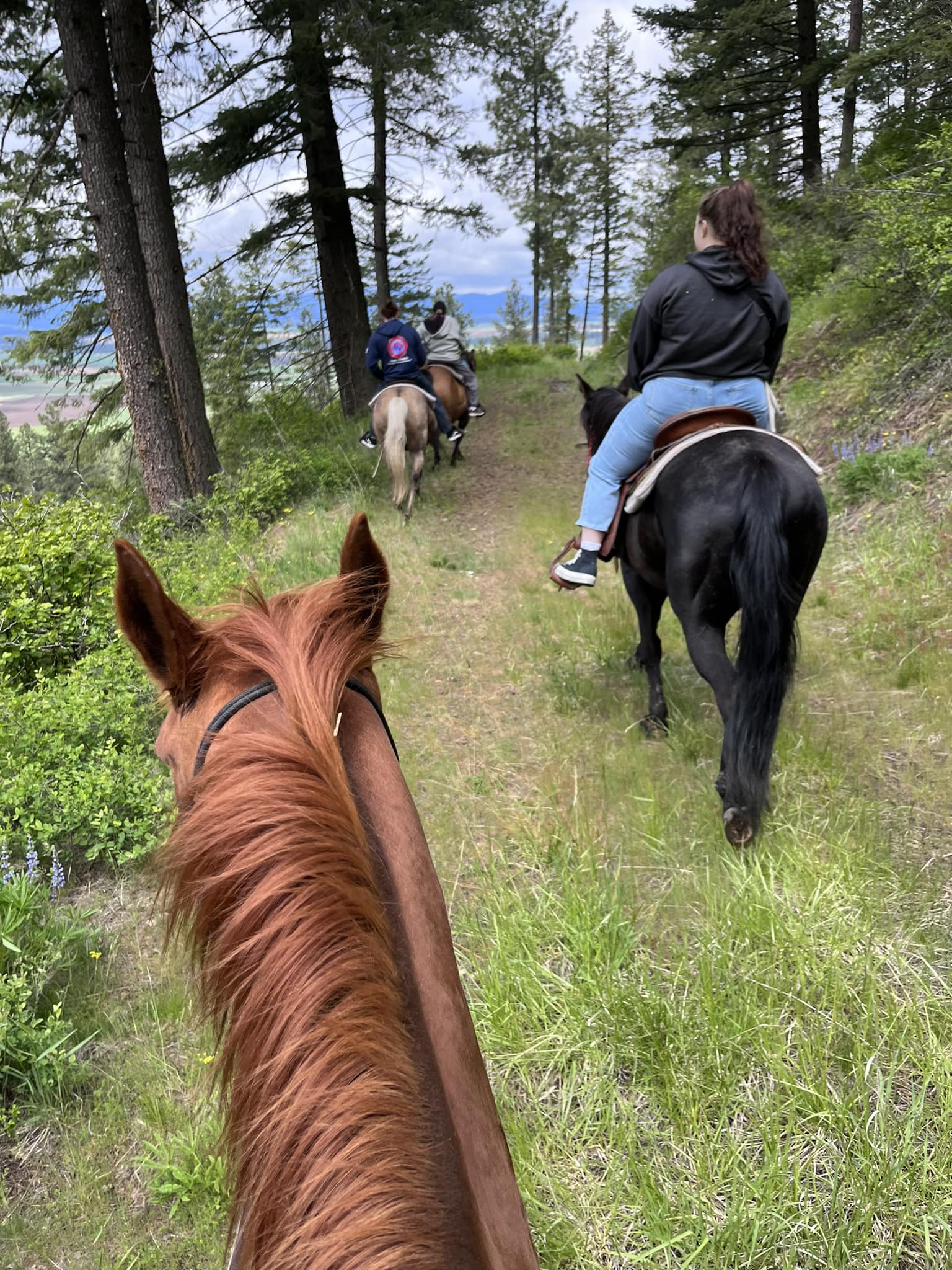 Mountain Rider Ranch | Worley ID