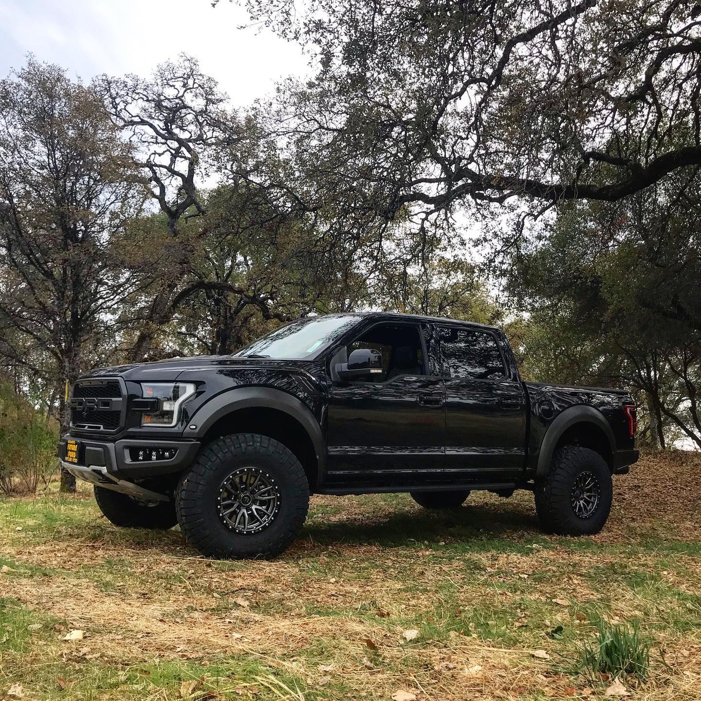 Raptor looking fresh with a... - NORCAL MOTOR COMPANY