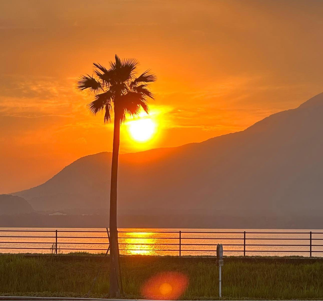 Sakurajima sunrise view from Shiroyama observation deck