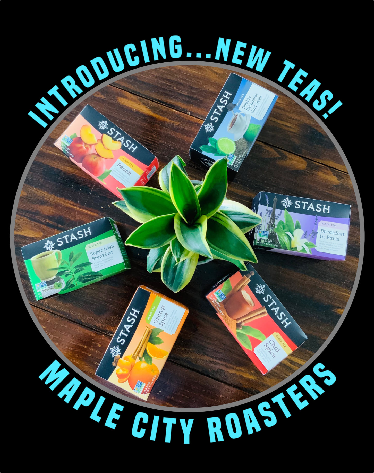 NEW TEAS! 😍 . We have had several of... - Maple City Roasters | Facebook