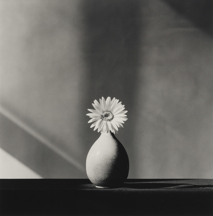 Memento mori' Robert Mapplethorpe Last self portrait 1988 Platinum