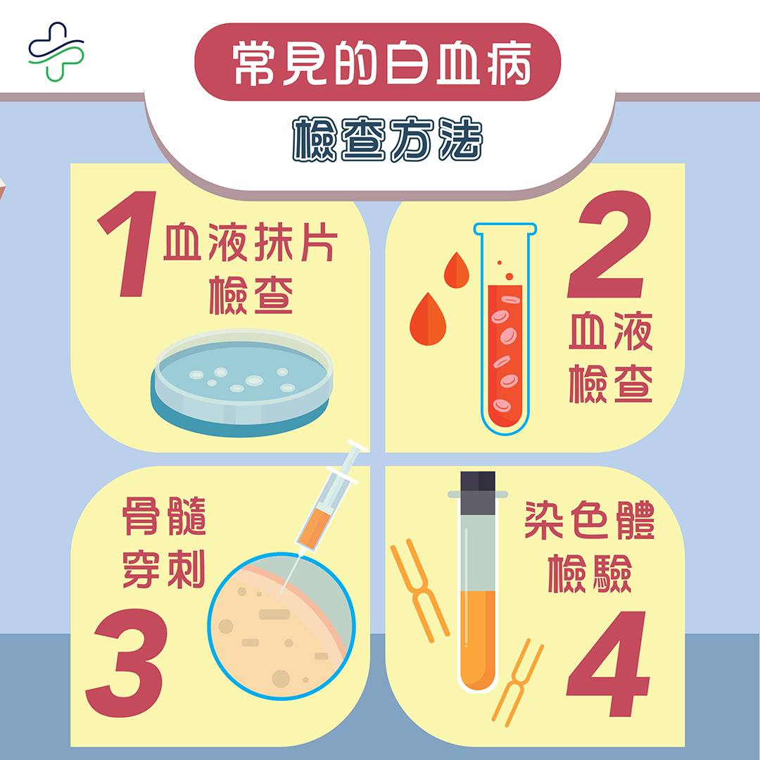 關懷癌病同盟 - 【#血癌同盟：常見的白血病檢查方法】... | Facebook