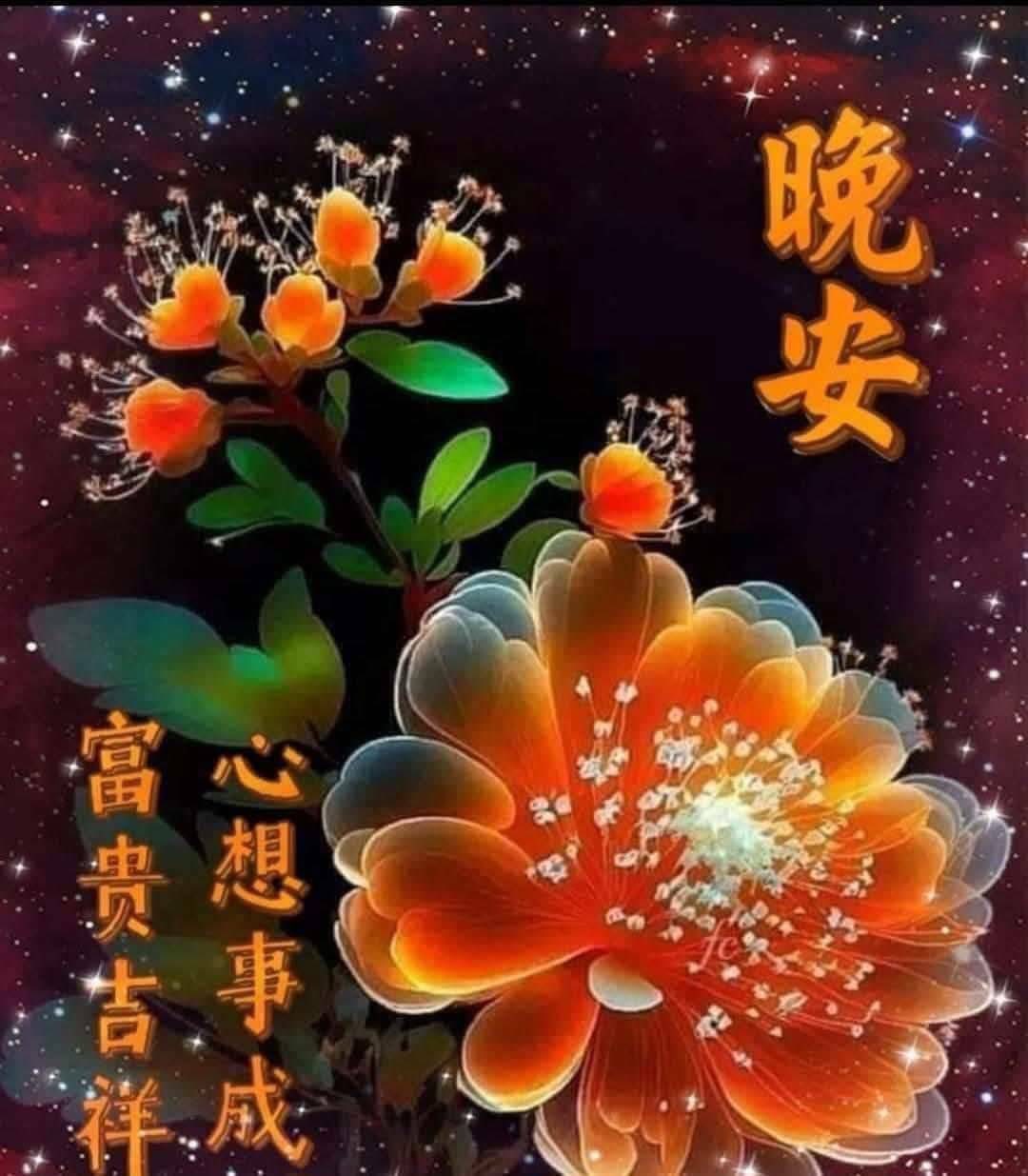 嗨～你好！早安 午安 晚安美圖分享 | Facebook