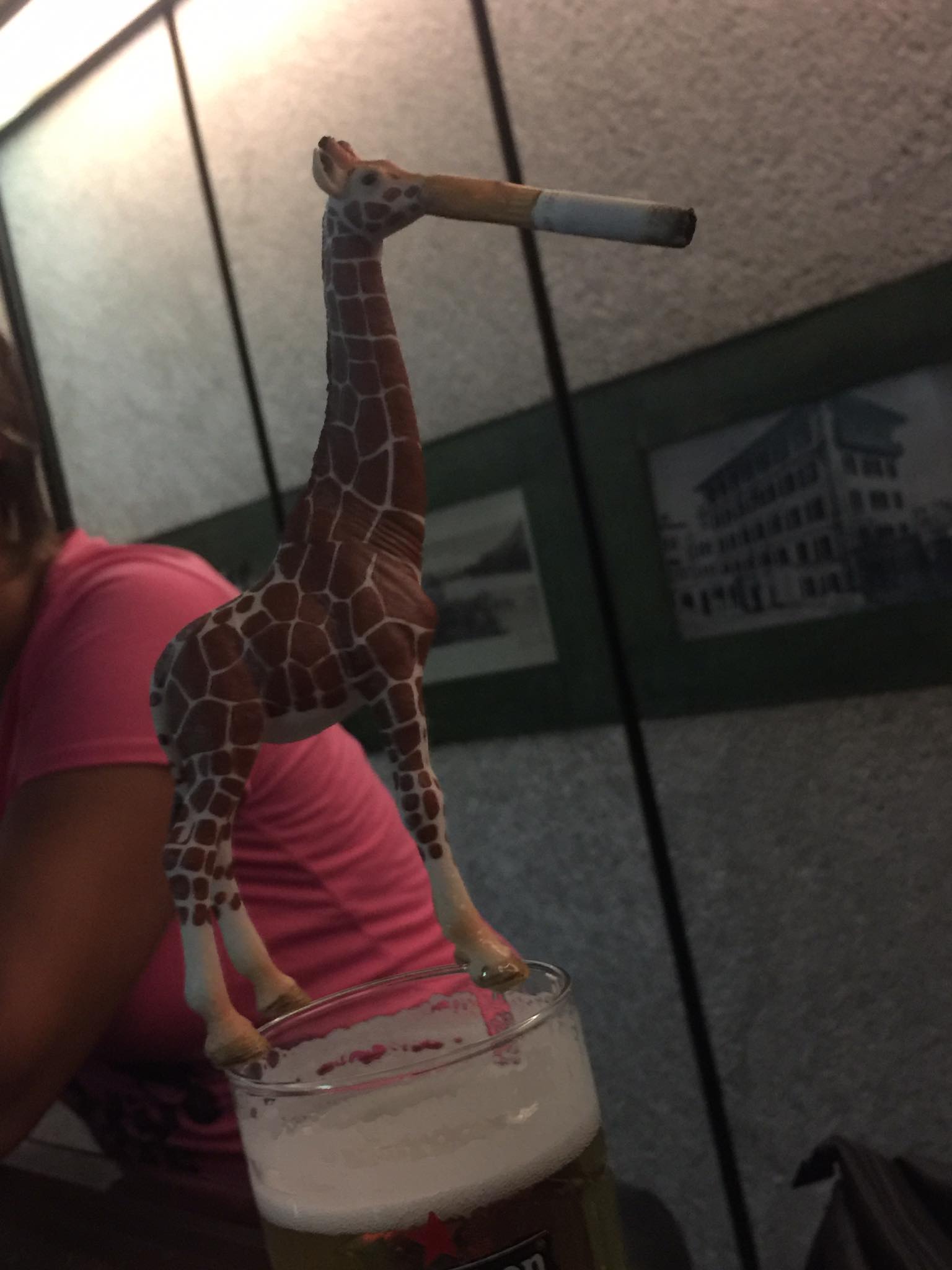 The Amazing Adventures of Mr Gee Raffe