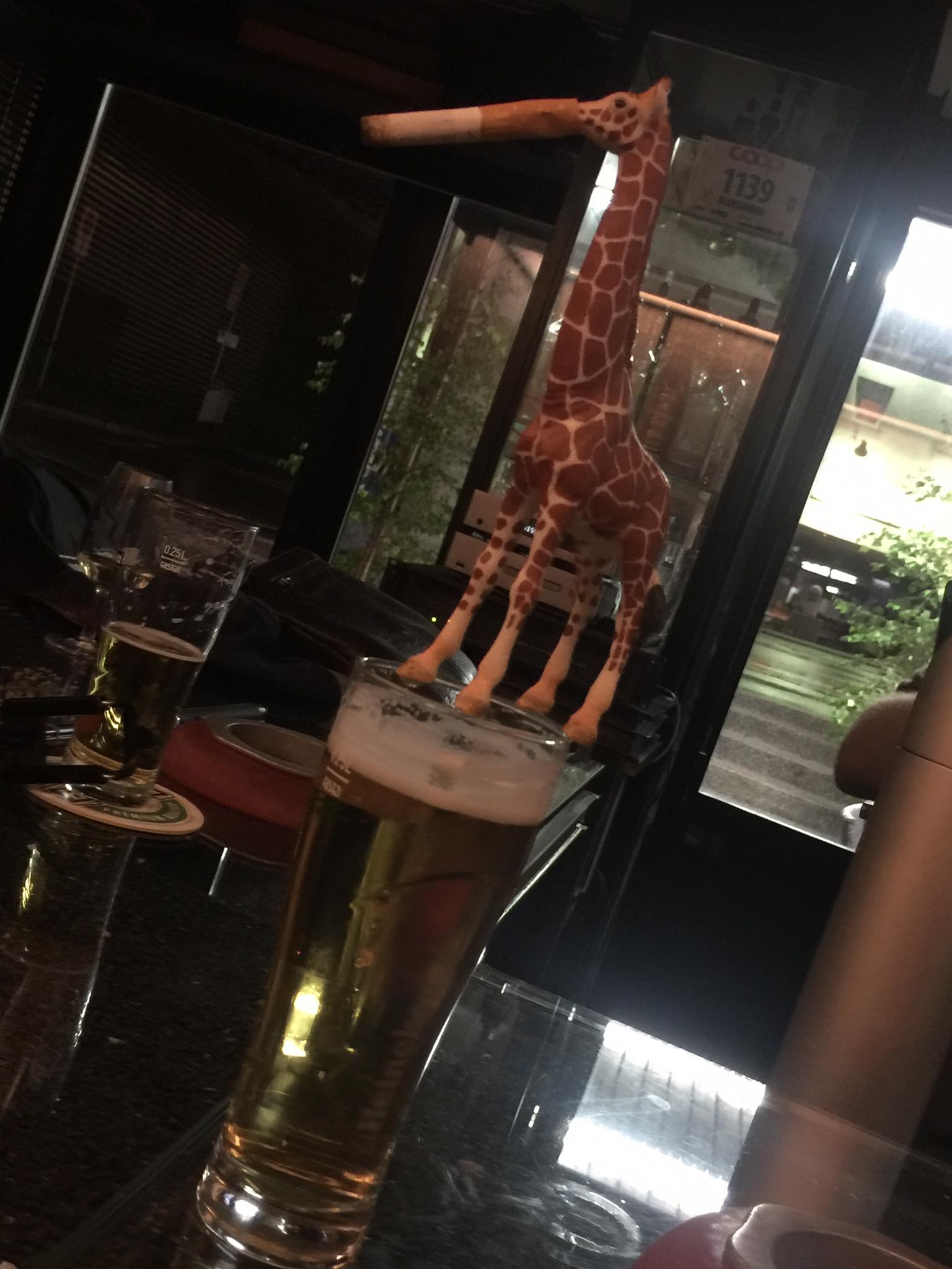 The Amazing Adventures of Mr Gee Raffe